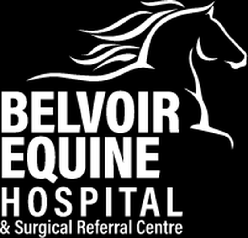 Belvoir Equine Hospital & Surgical Referral Centre logo