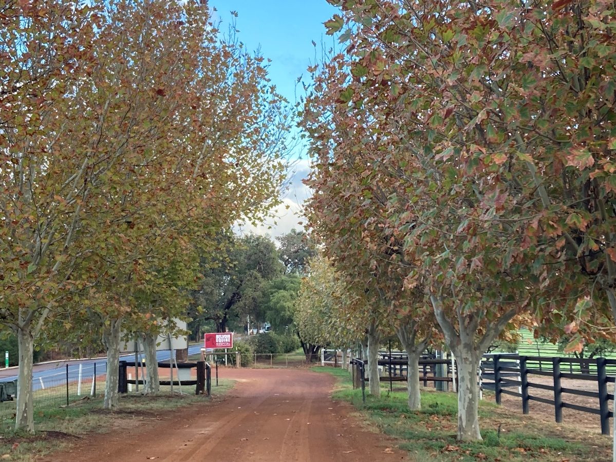 Entrance to Belvoir Equine Hospital