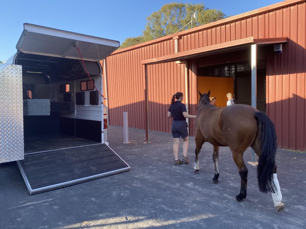 Emergency horse drop-off at Belvoir Equine Hospital