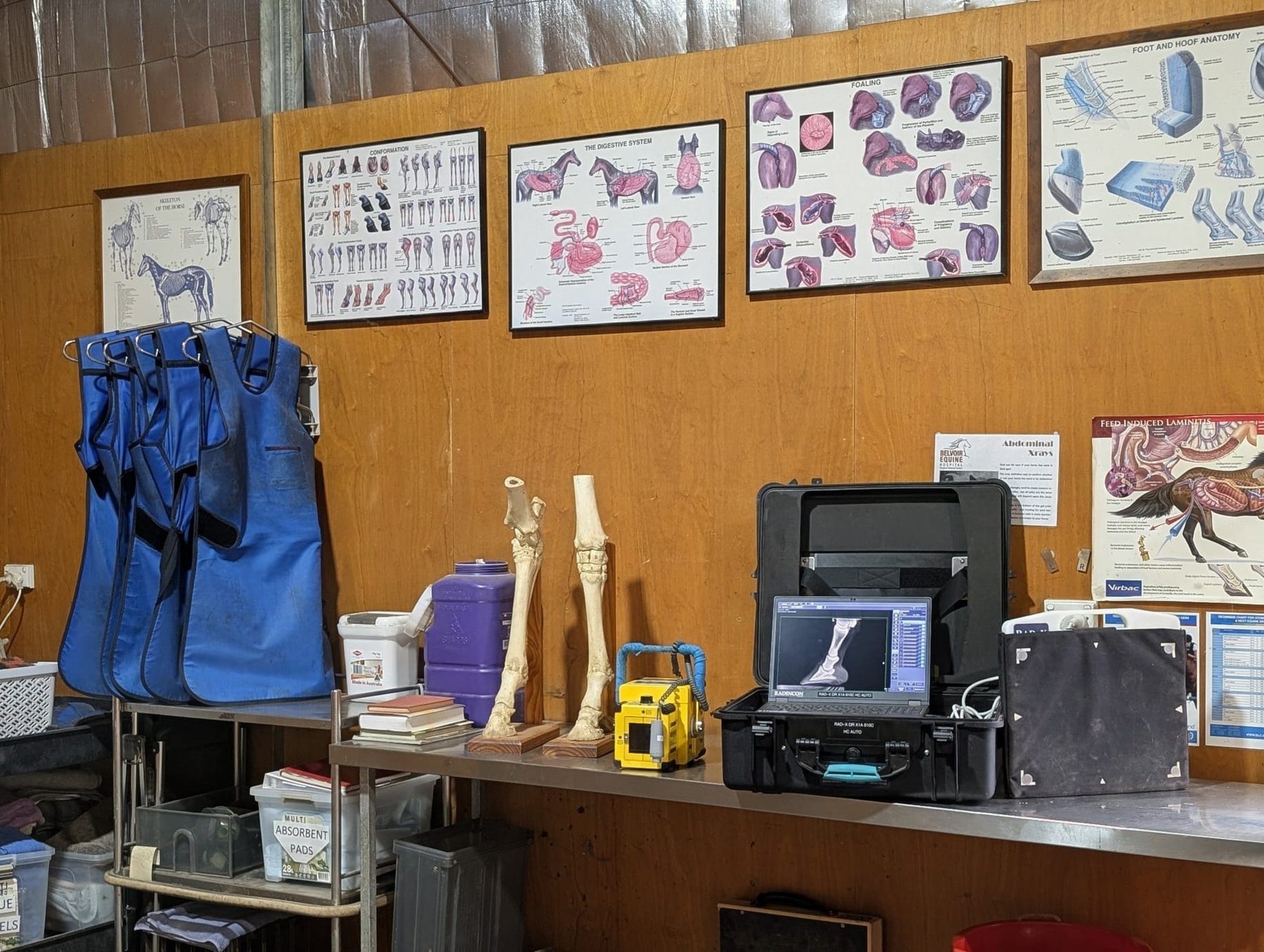 Digital radiography at Belvoir Equine Hospital