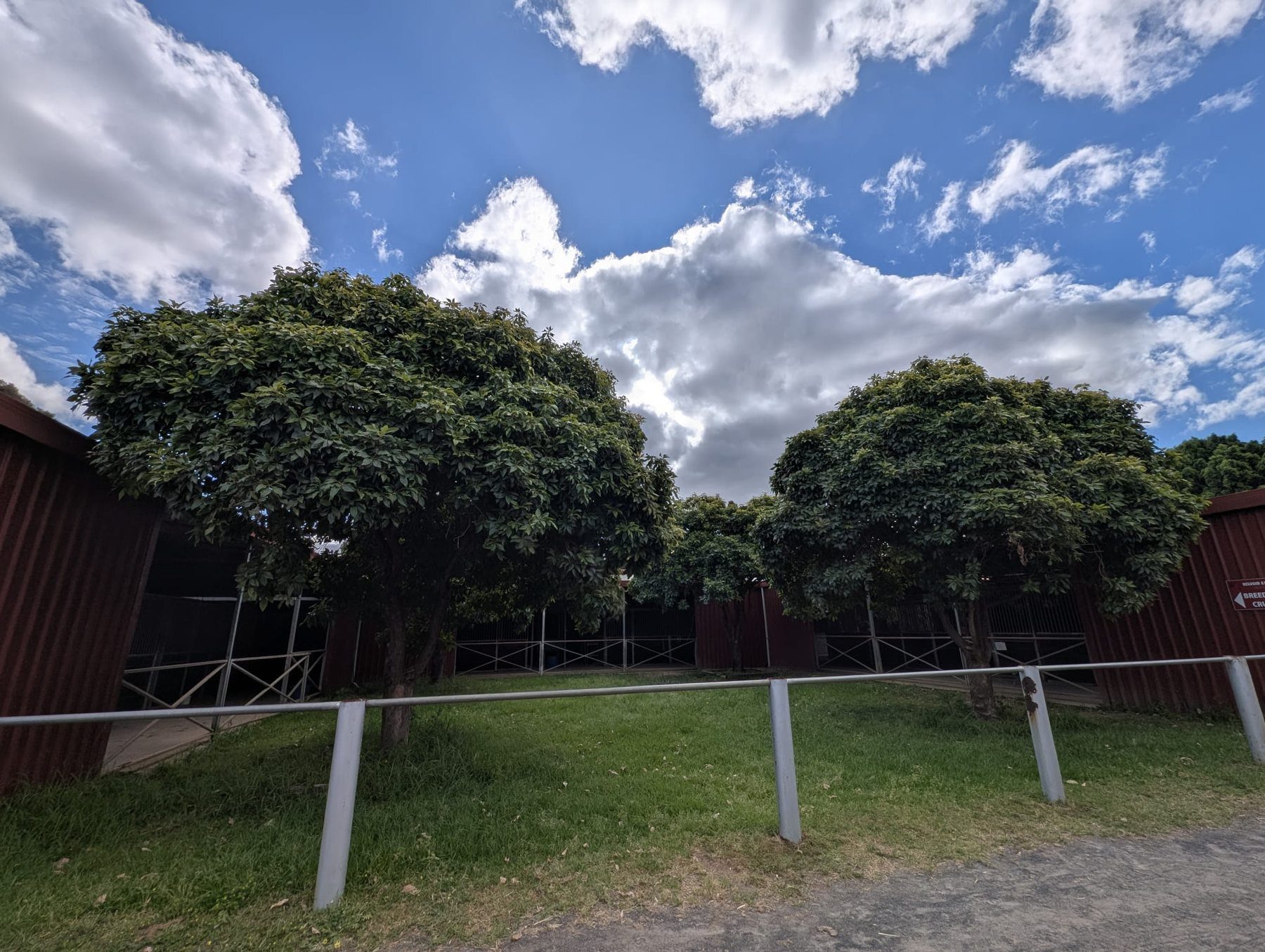 Landscaped courtyard and hospital stable buildings