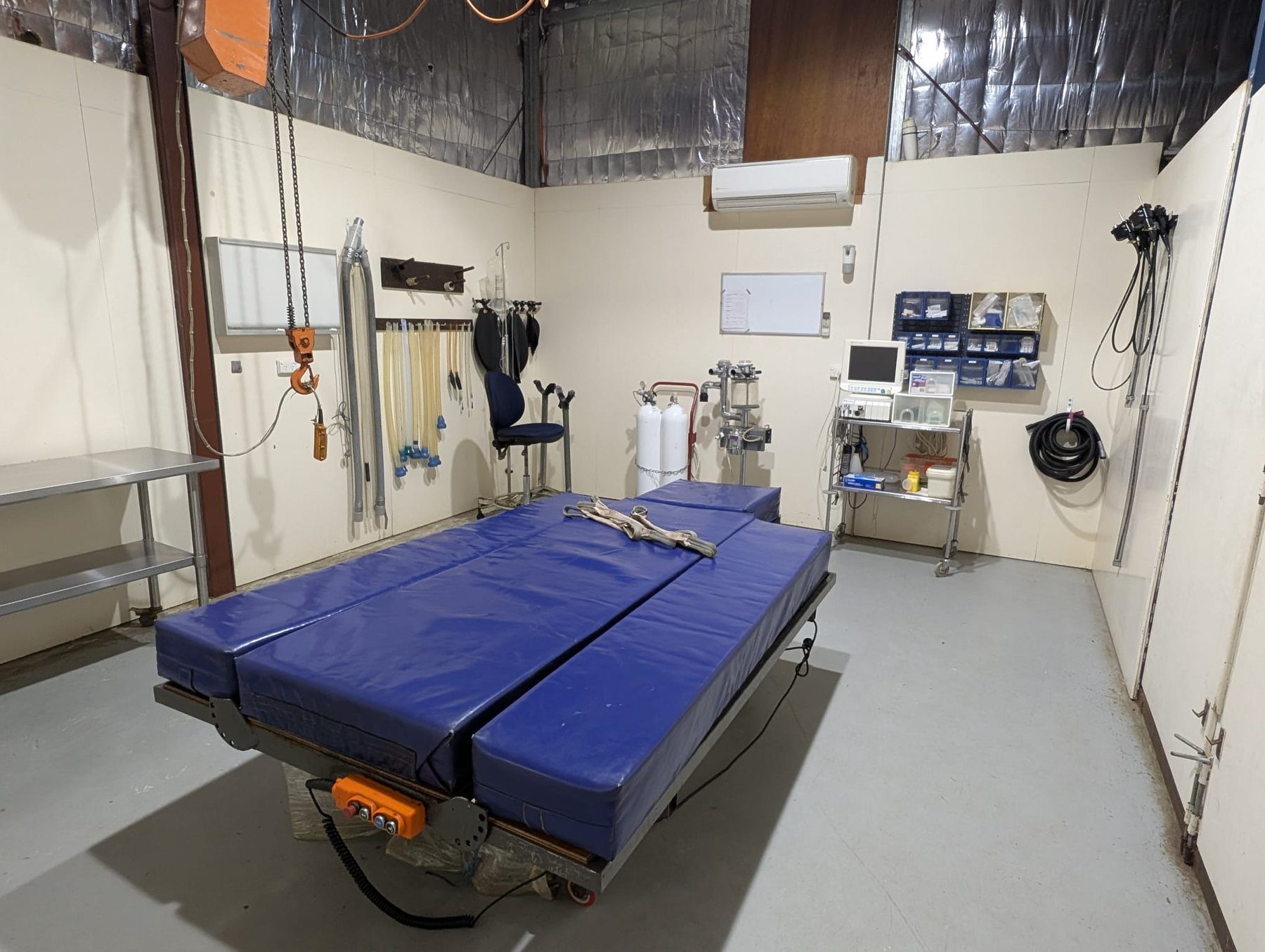 Equine surgery at Belvoir Equine Hospital