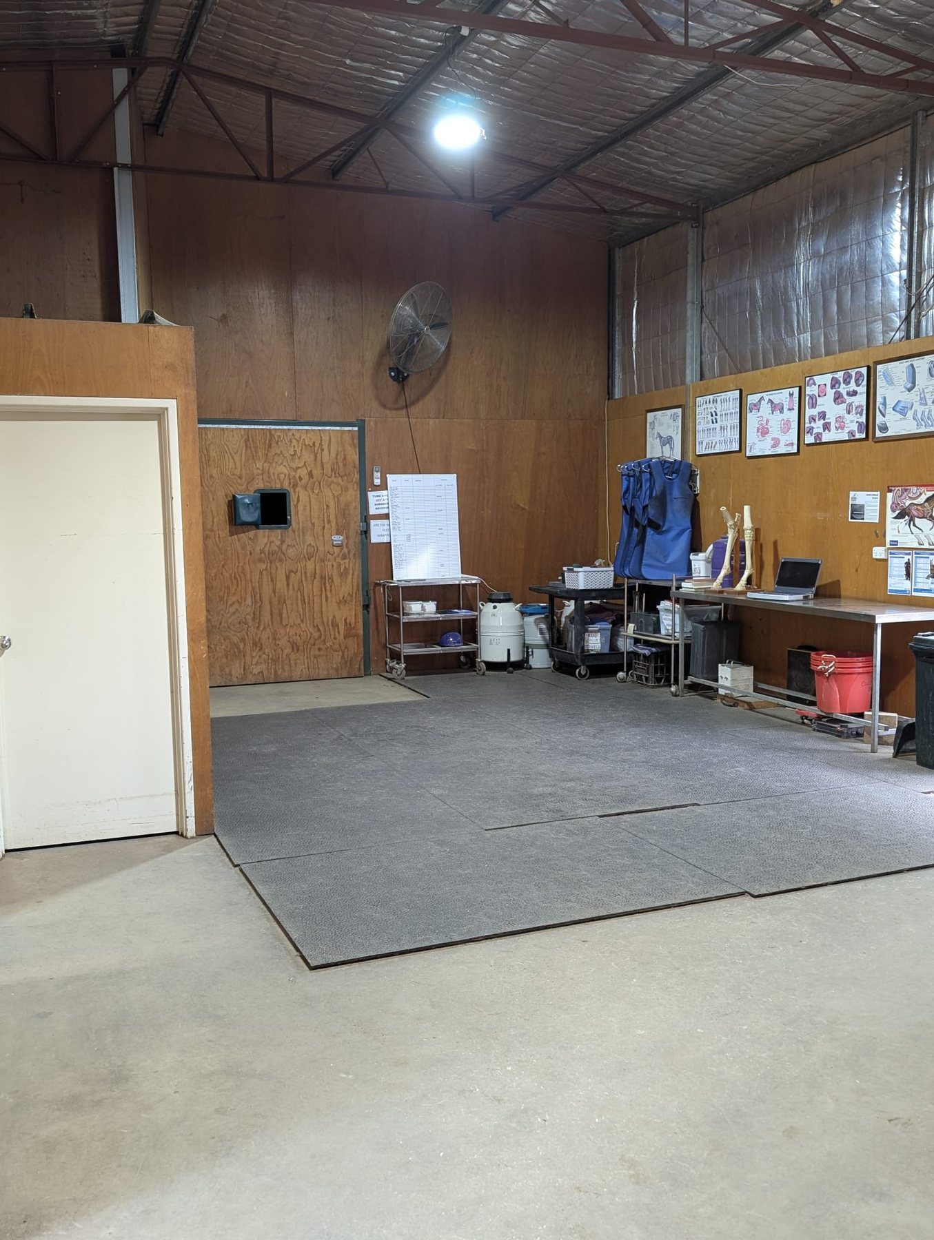 Large equine examination and treatment area