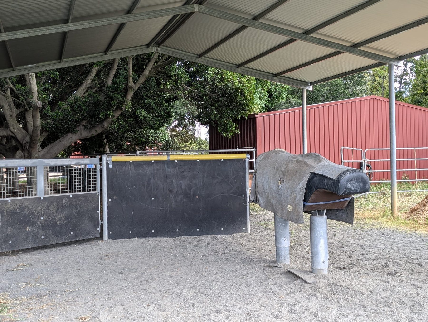 Covered phantom at Belvoir Equine Hospital