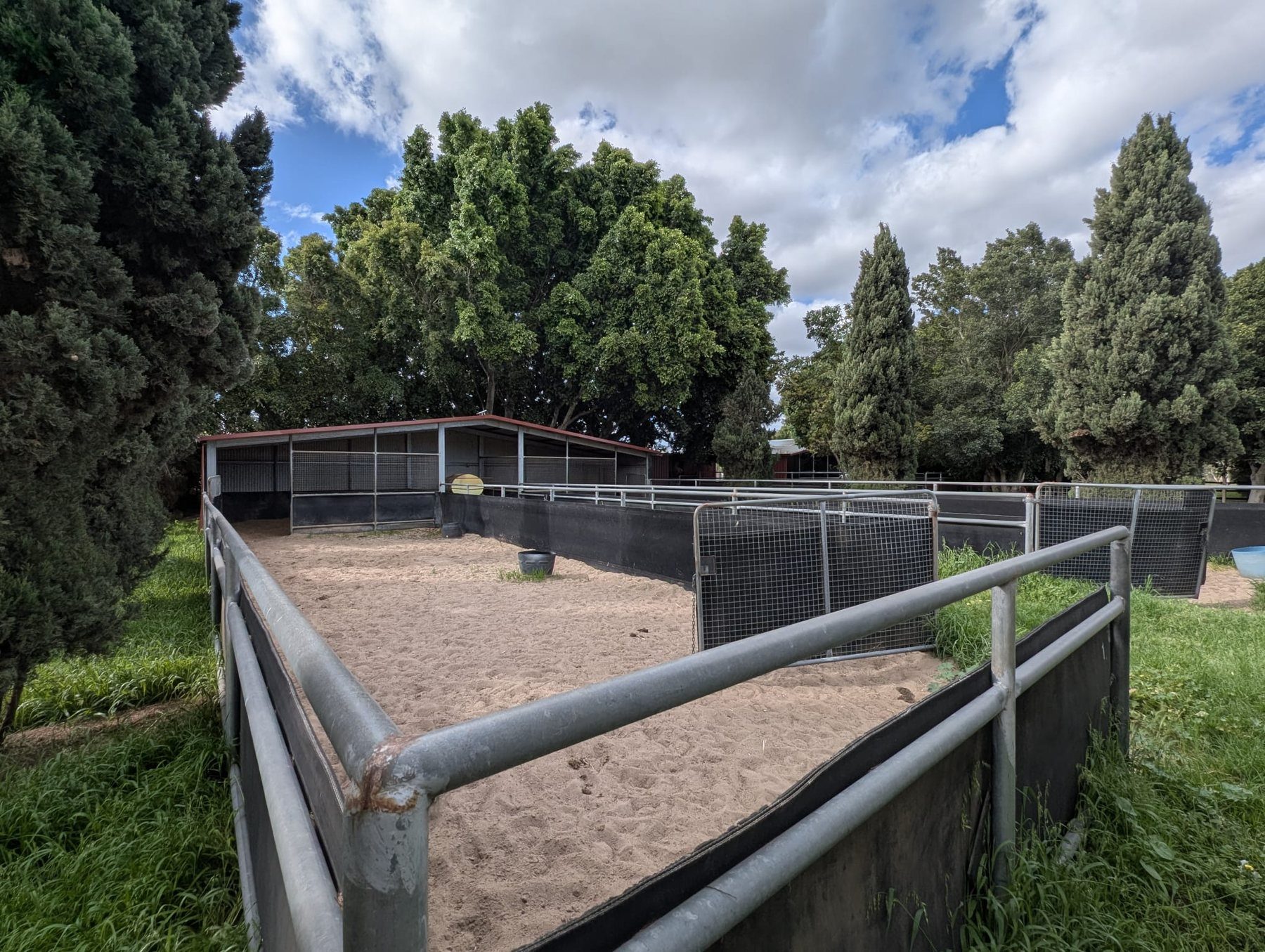 Round yard at Belvoir Equine Hospital