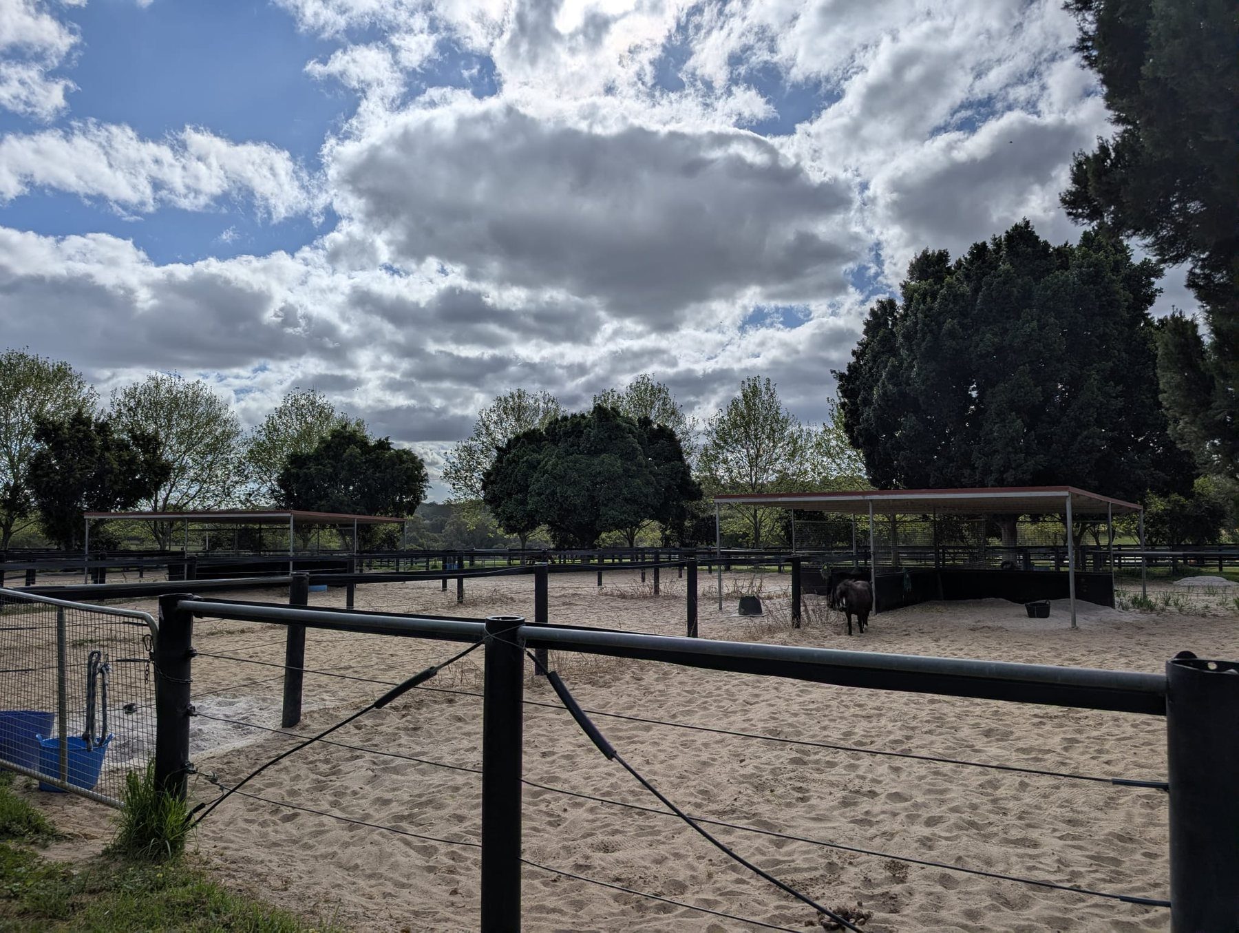 Outdoor horse yards at Belvoir Equine Hospital