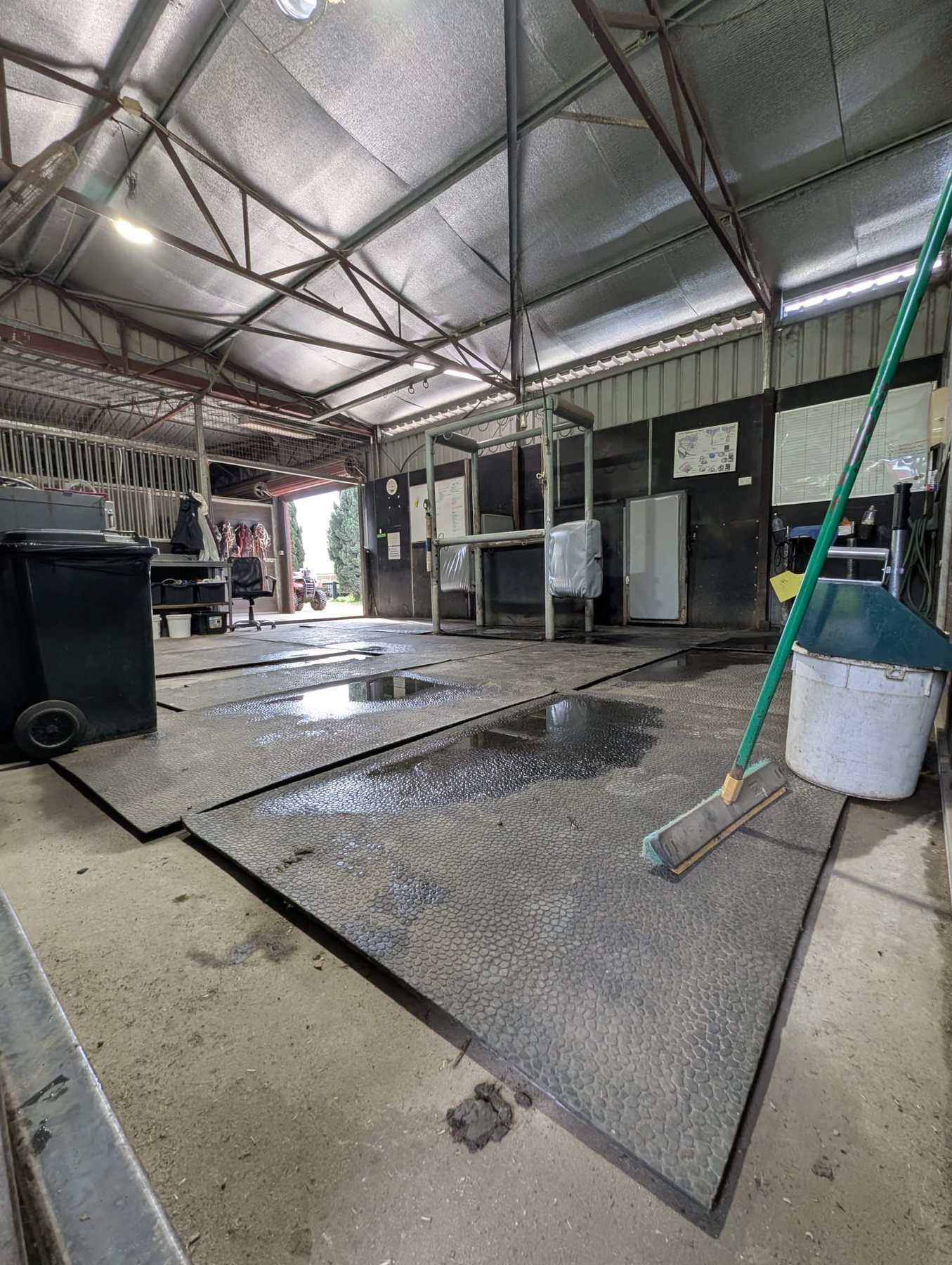Equine treatment and wash-down area