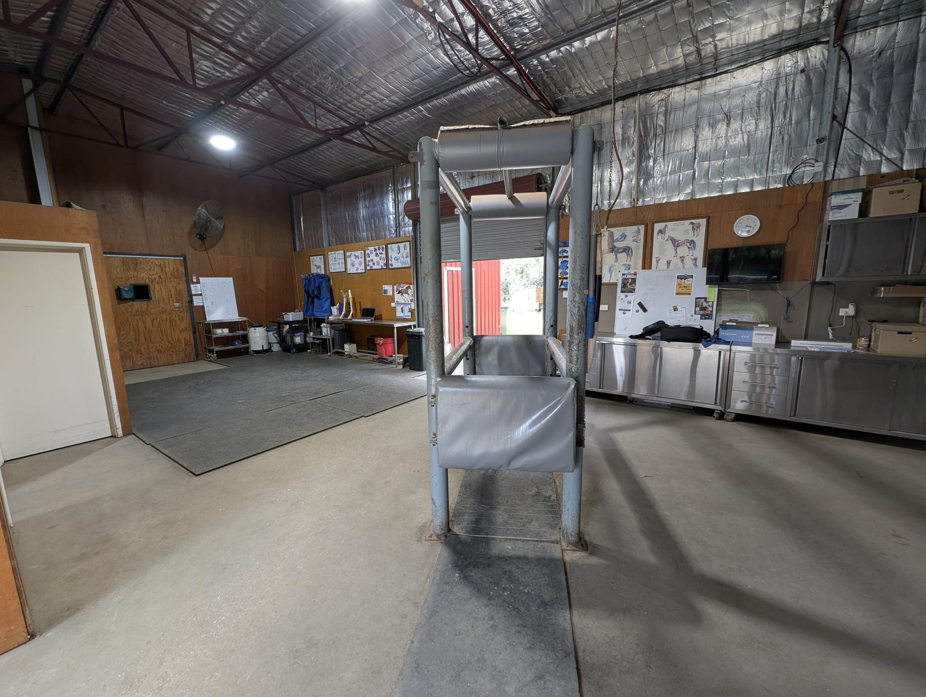 Dedicated equine work area in the hospital treatment area