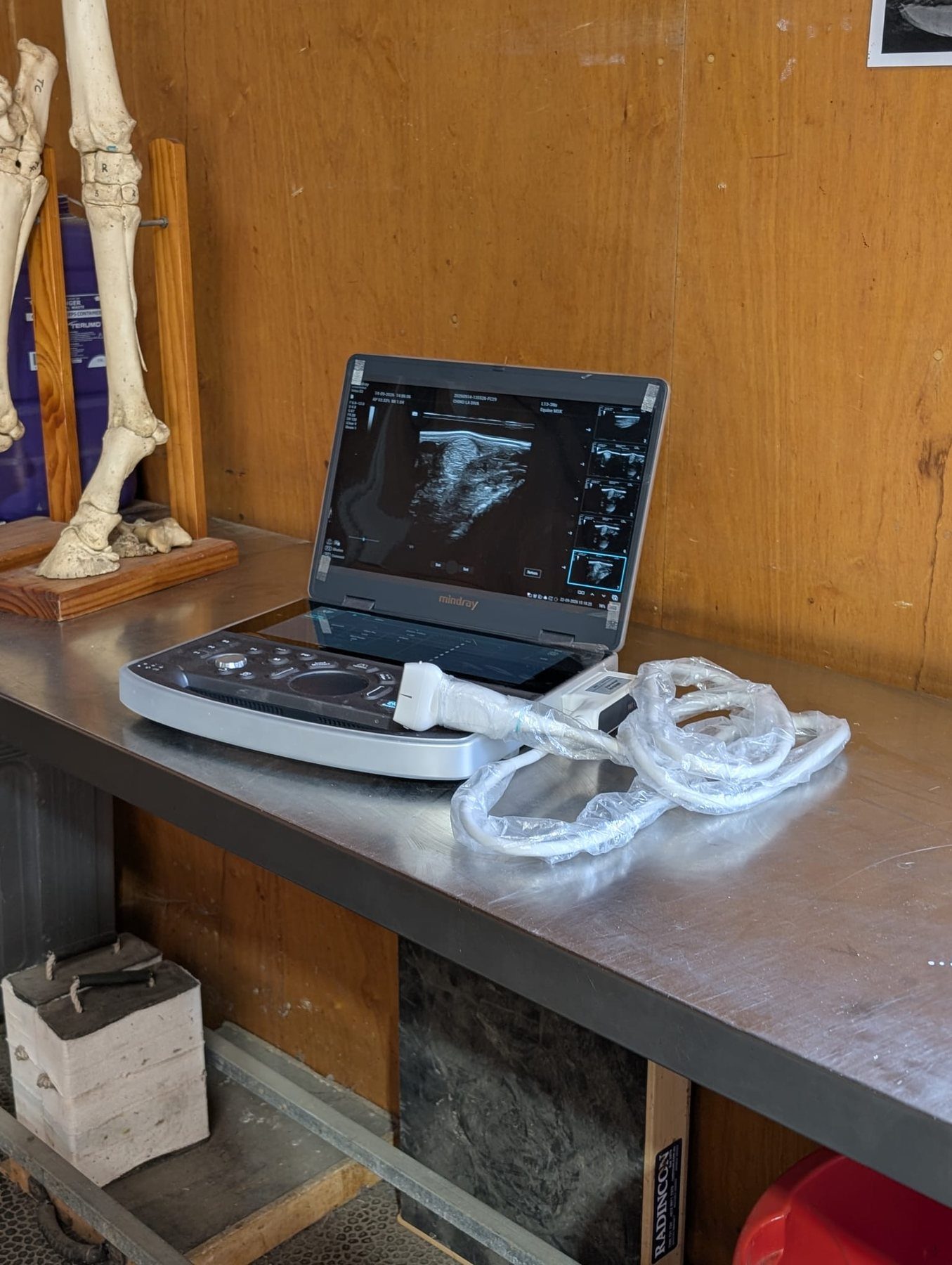 Portable ultrasound at Belvoir Equine Hospital