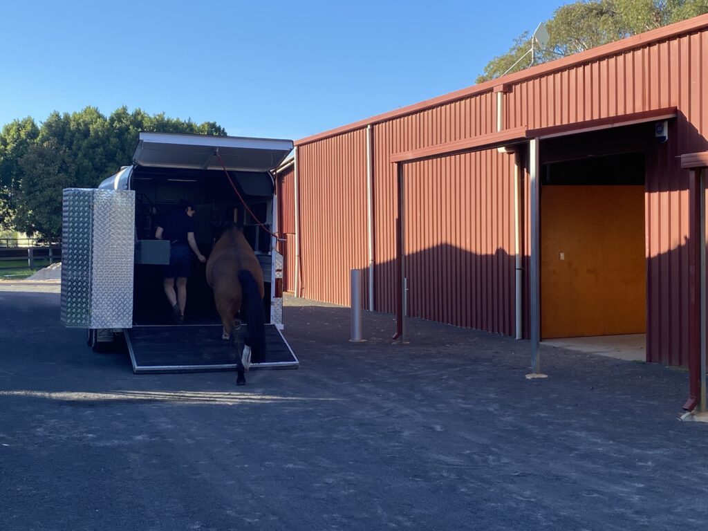 Horse float arriving at Belvoir