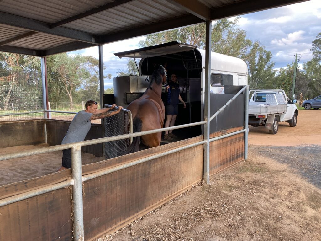Horse unloading bay