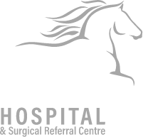 belvoir equine hospital